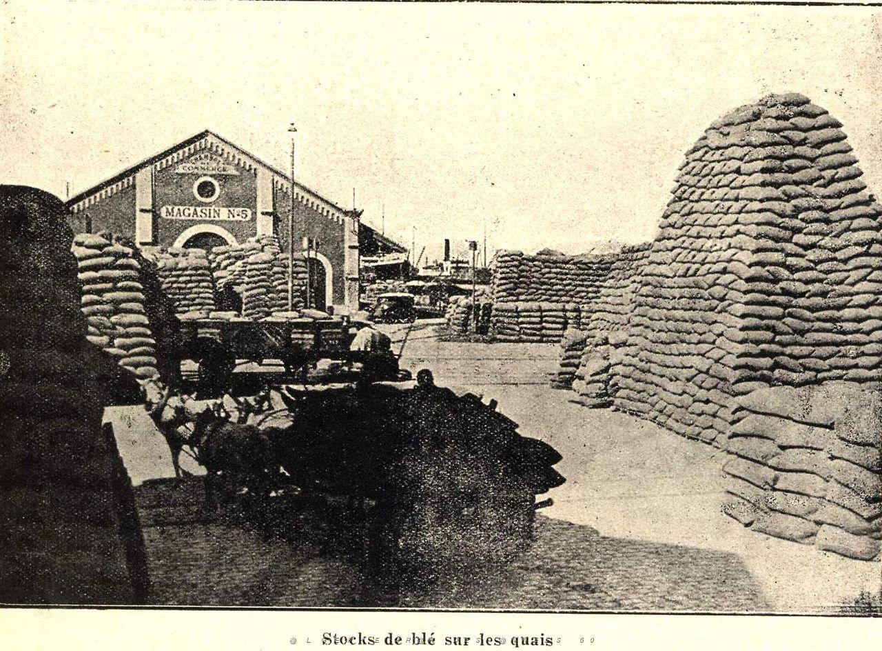 Oran- 004- travail sur les quais.jpg